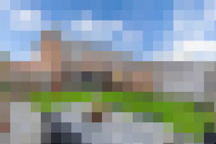 Opslach 14 Wommels thumbnail 29