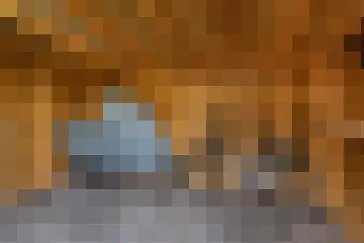 Opslach 14 Wommels thumbnail 35