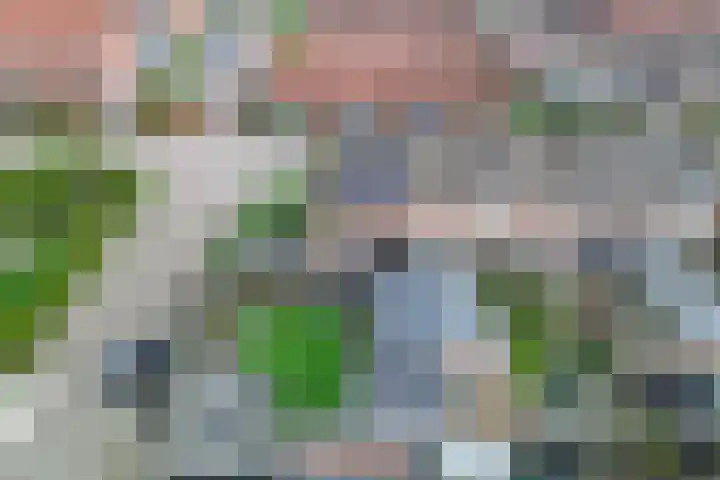 Opslach 14 Wommels thumbnail 37