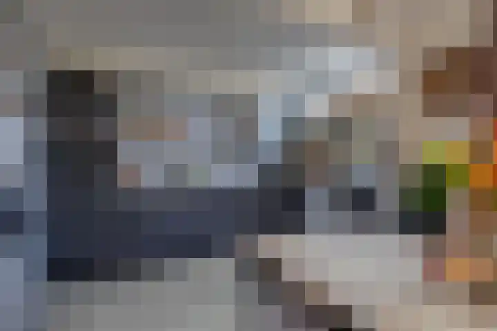 Opslach 14 Wommels thumbnail 4
