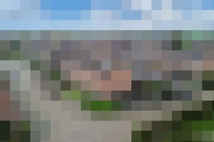 Opslach 14 Wommels thumbnail 41