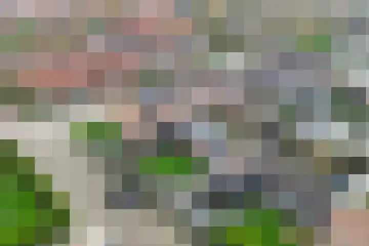Opslach 14 Wommels thumbnail 42