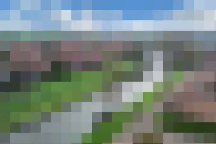 Opslach 14 Wommels thumbnail 44