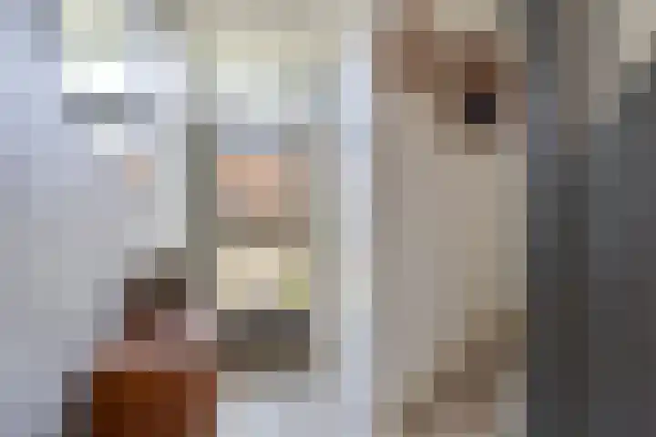 Opslach 14 Wommels thumbnail 7