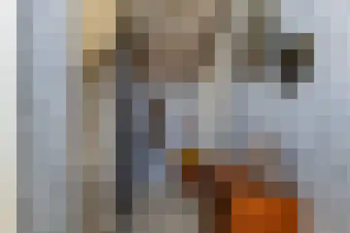 Opslach 14 Wommels thumbnail 8