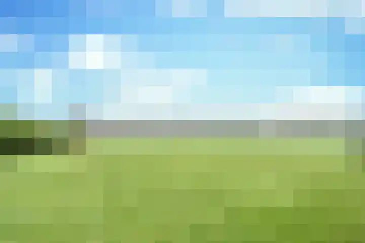 Opstal 6 a Aarle-Rixtel thumbnail 10