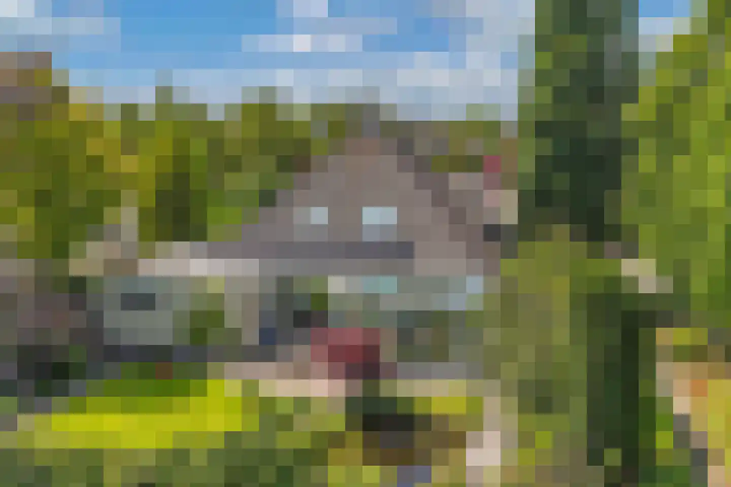 Opsterland 1 Emmeloord thumbnail 11