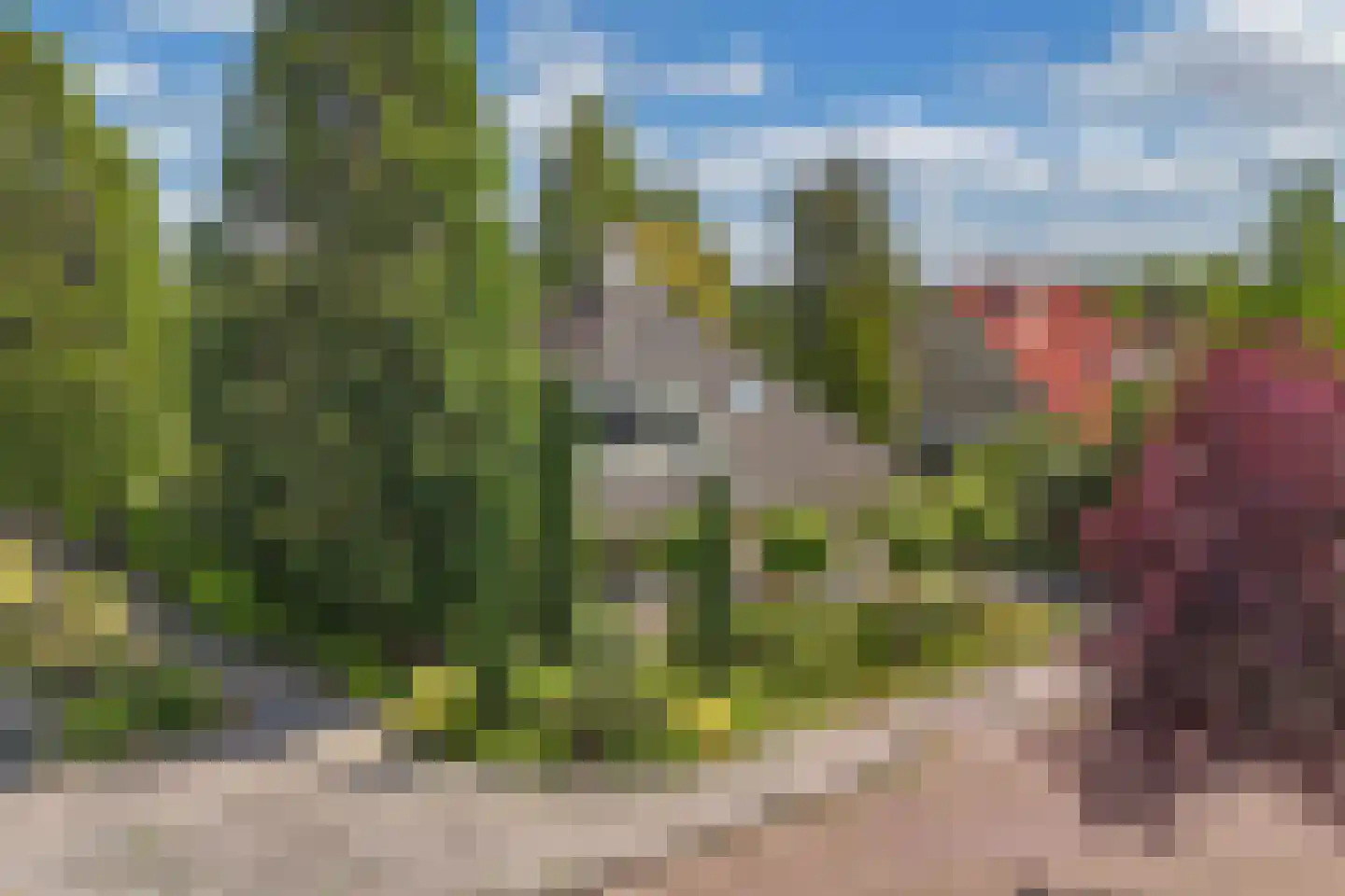 Opsterland 1 Emmeloord thumbnail 18