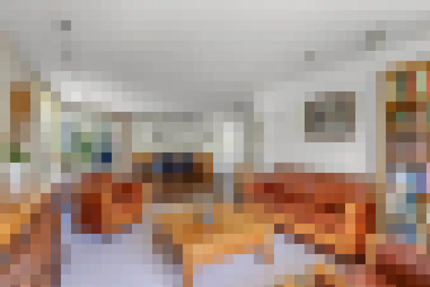 Opsterland 1 Emmeloord thumbnail 24