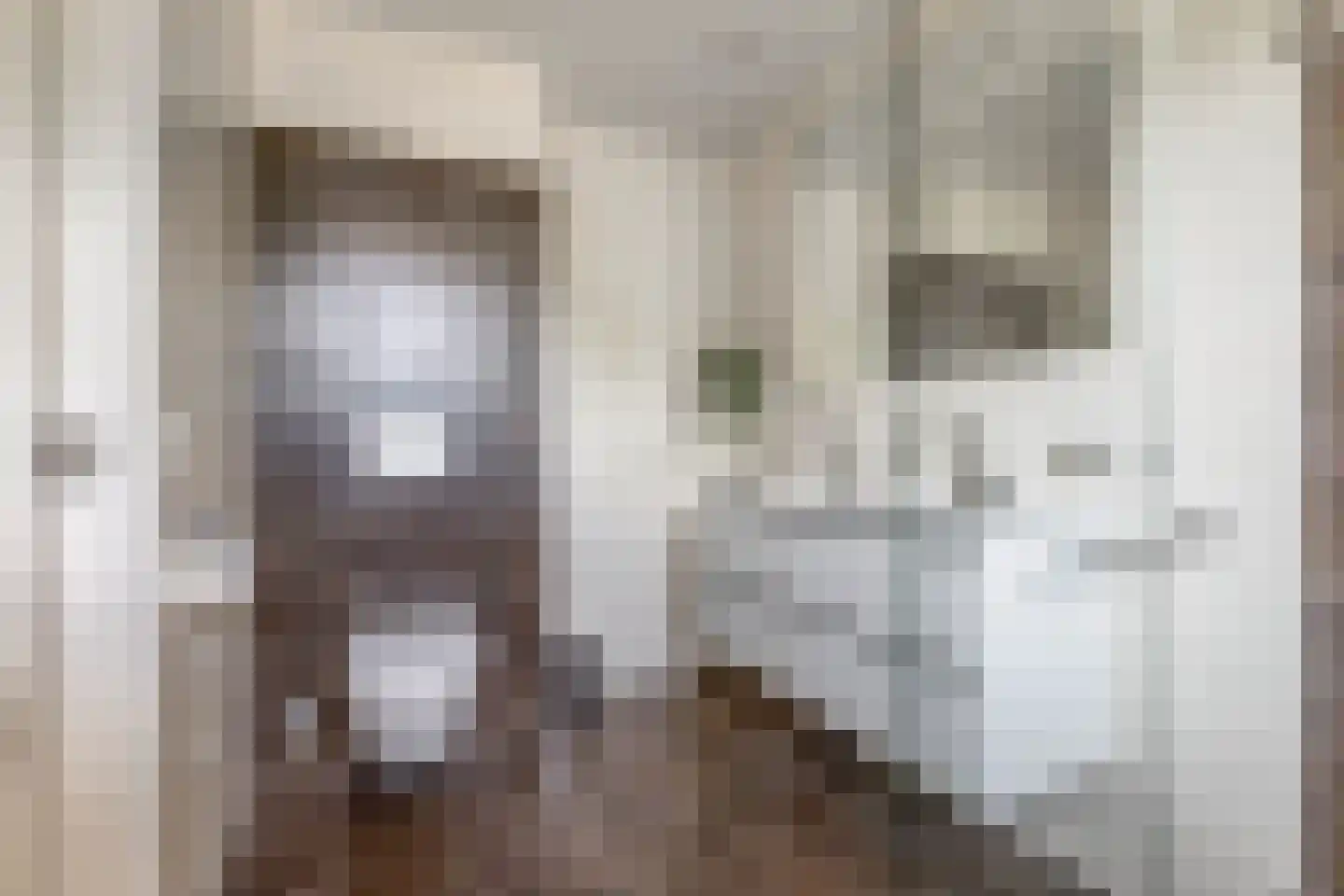 Opsterland 1 Emmeloord thumbnail 37
