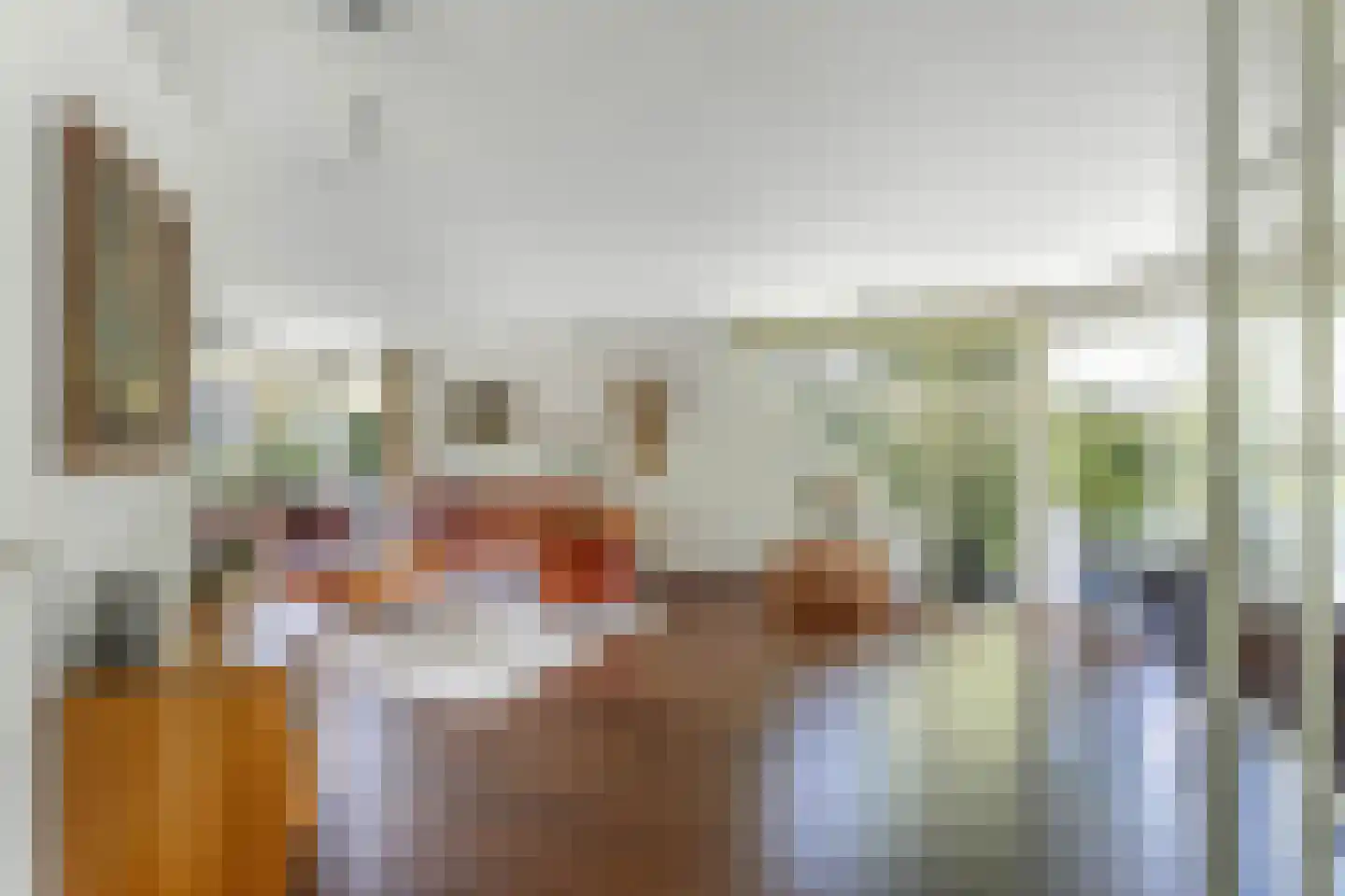 Opsterland 1 Emmeloord thumbnail 4