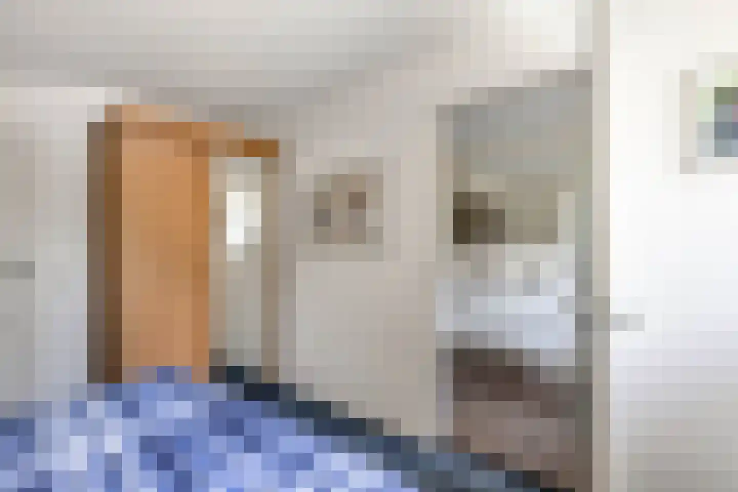 Opsterland 1 Emmeloord thumbnail 40