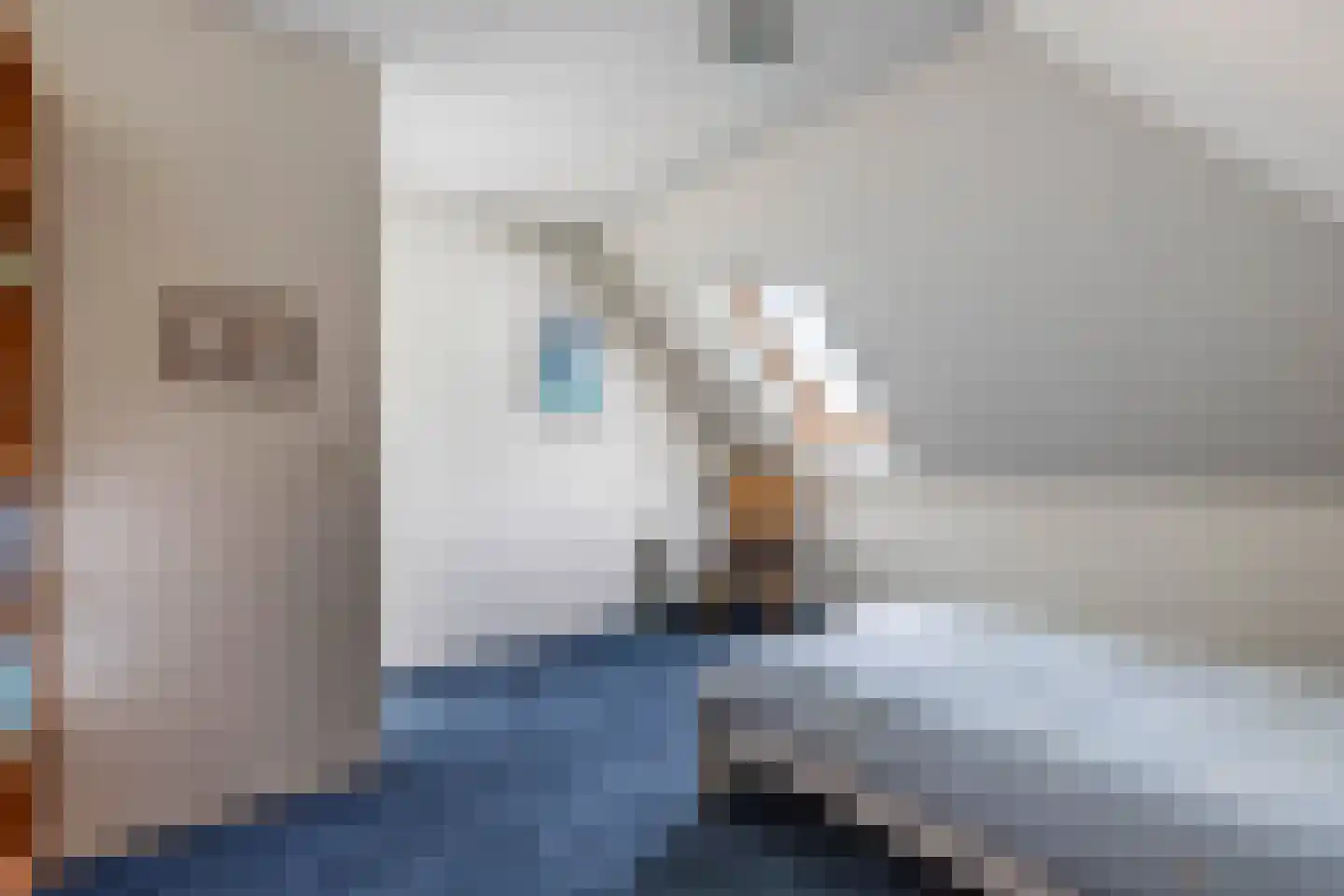 Opsterland 1 Emmeloord thumbnail 43
