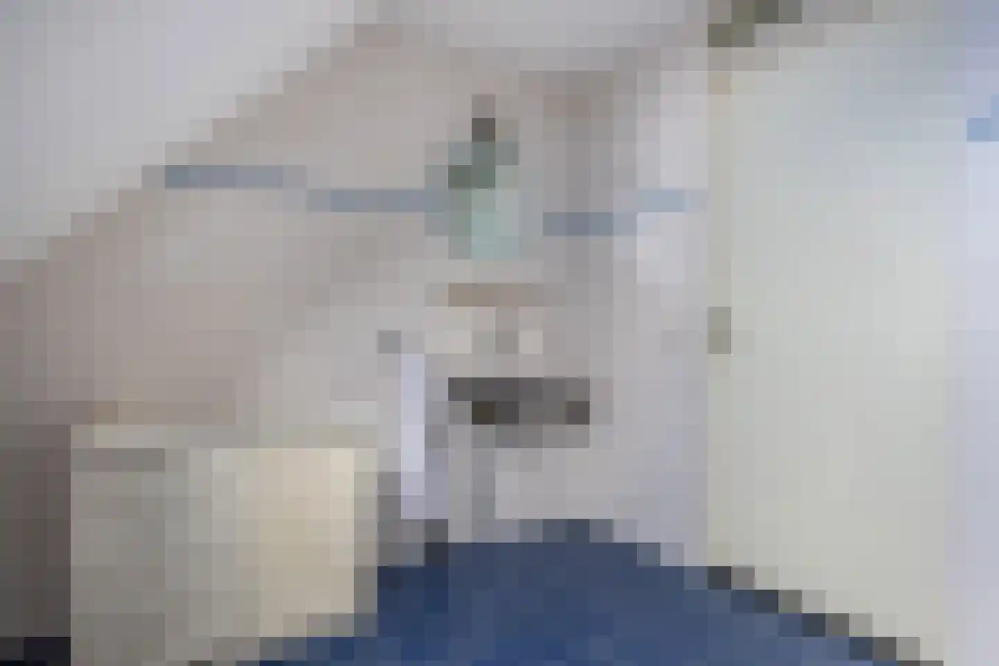 Opsterland 1 Emmeloord thumbnail 47