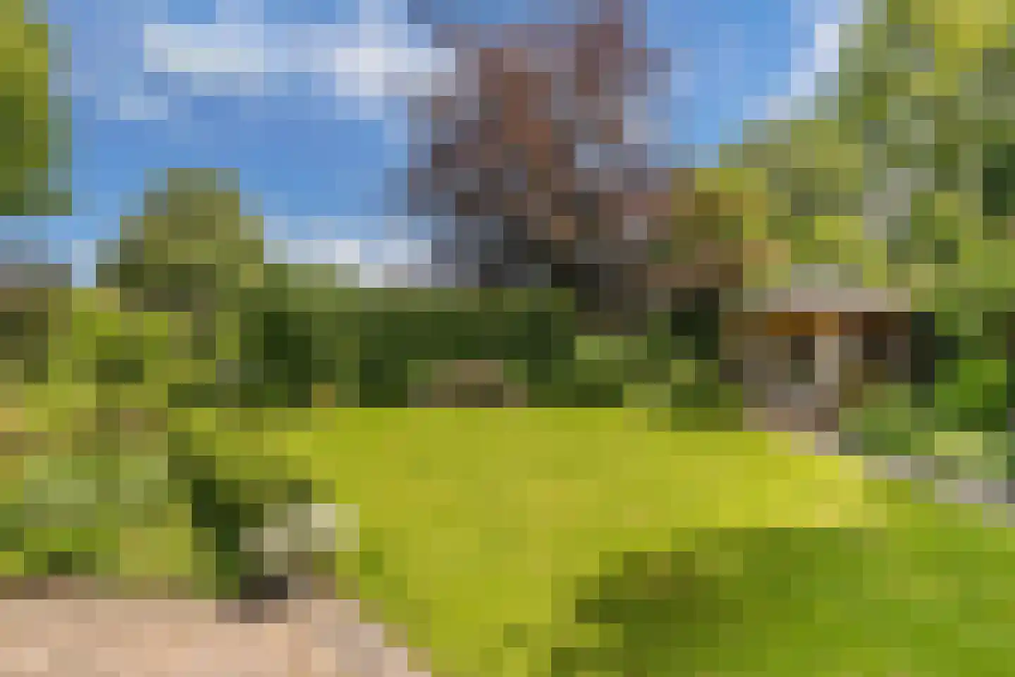 Opsterland 1 Emmeloord thumbnail 50