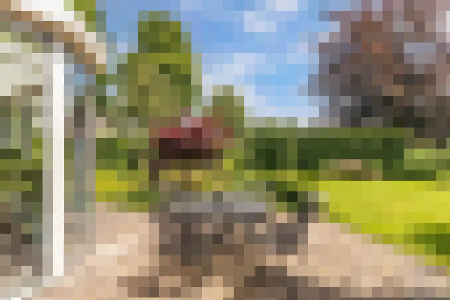 Opsterland 1 Emmeloord thumbnail 50