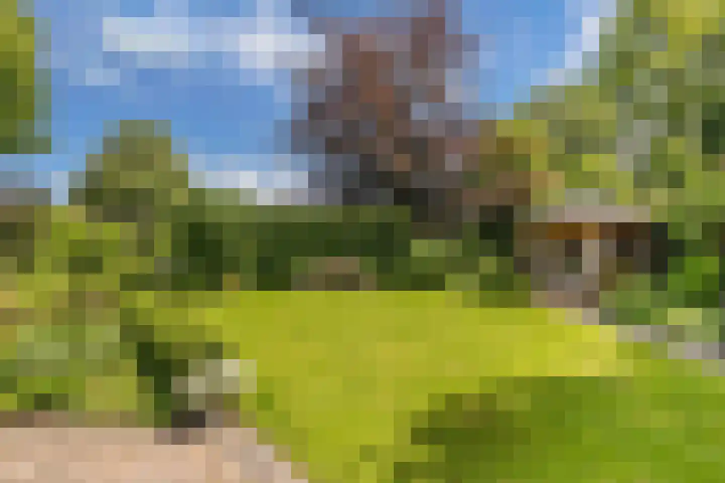 Opsterland 1 Emmeloord thumbnail 51