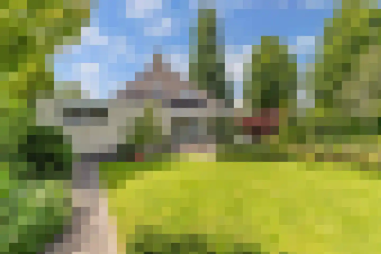 Opsterland 1 Emmeloord thumbnail 52