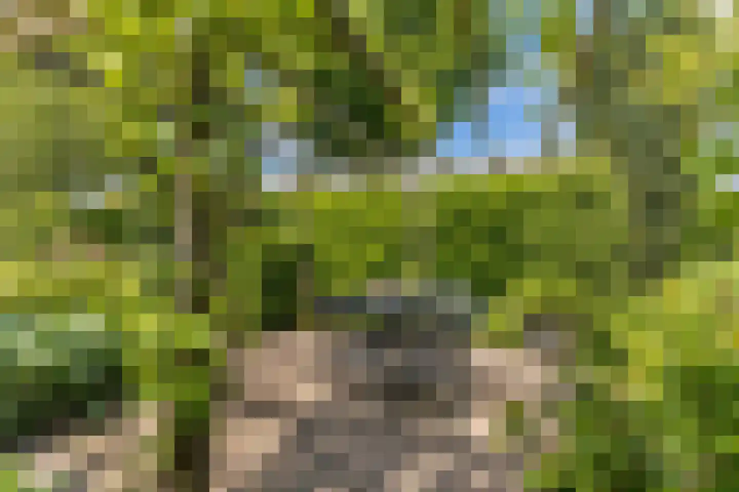 Opsterland 1 Emmeloord thumbnail 54