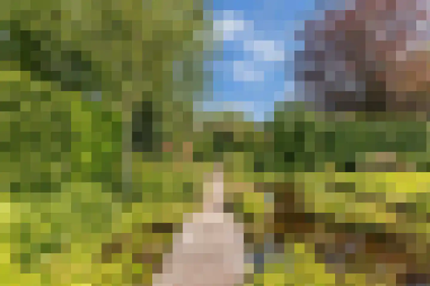Opsterland 1 Emmeloord thumbnail 55