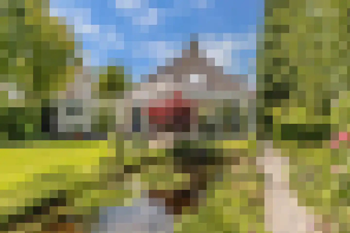 Opsterland 1 Emmeloord thumbnail 56