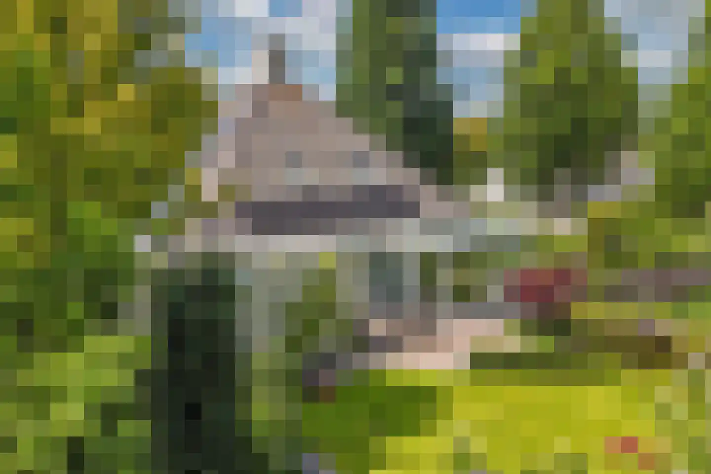 Opsterland 1 Emmeloord thumbnail 58