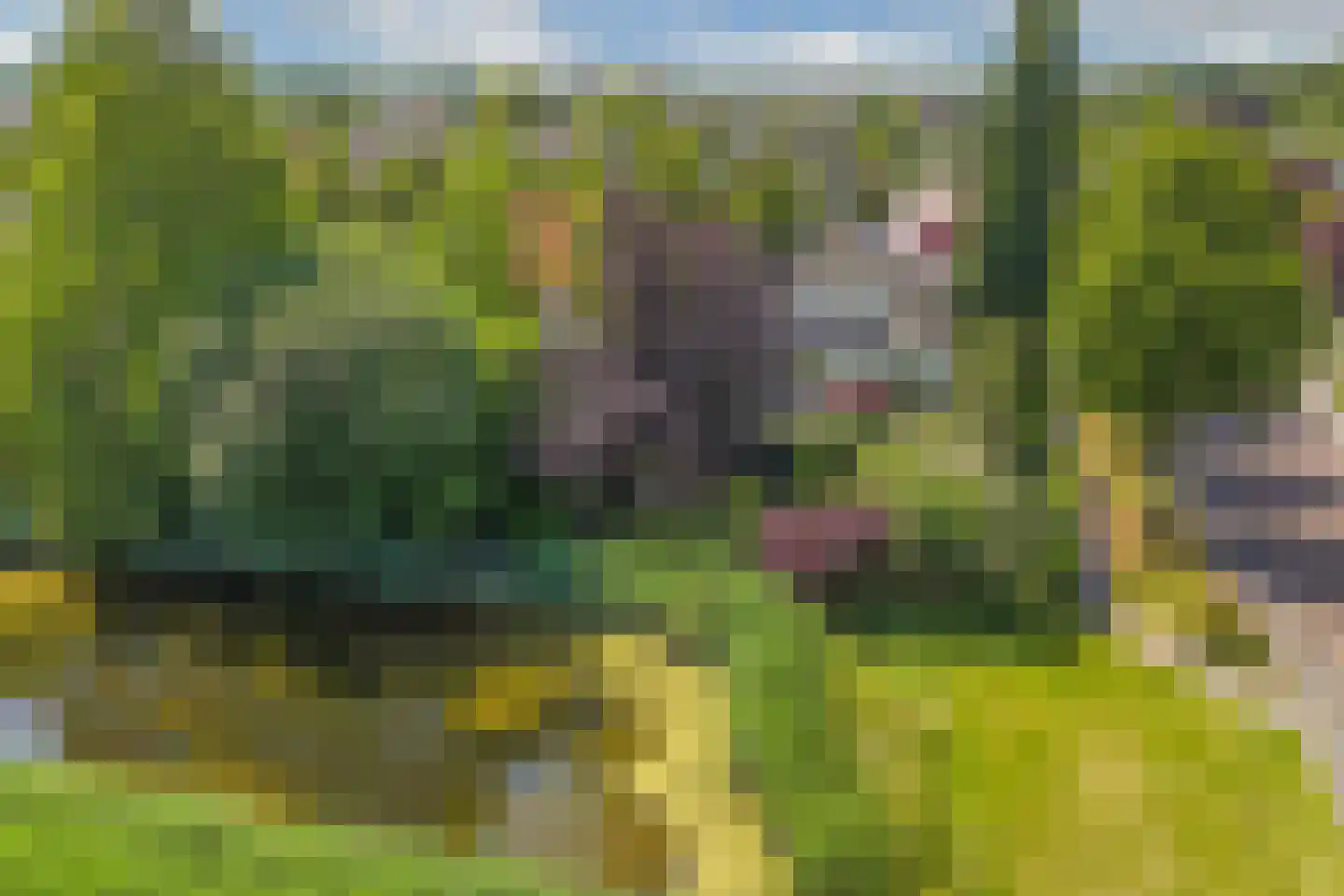 Opsterland 1 Emmeloord thumbnail 59