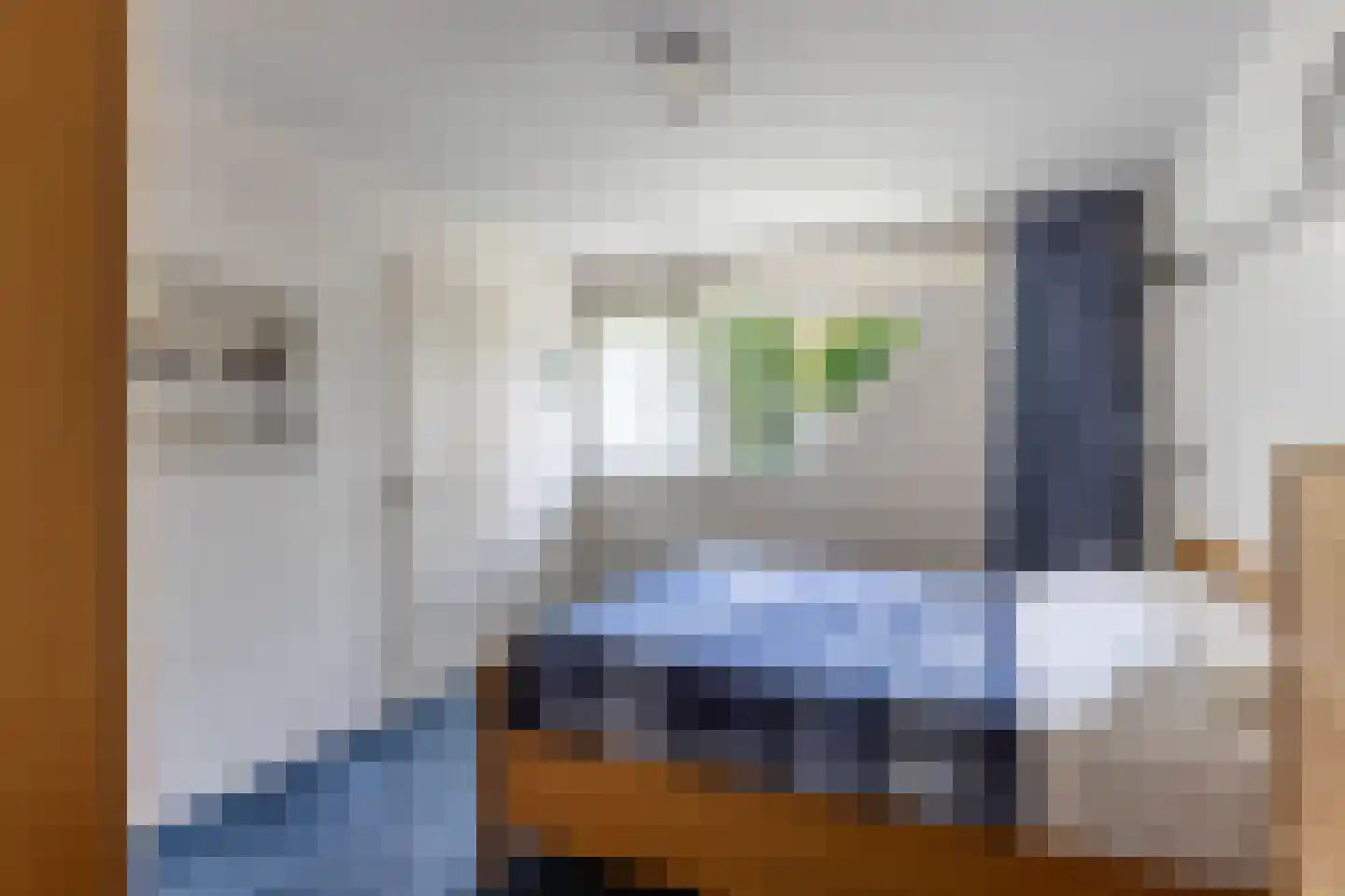 Opsterland 1 Emmeloord thumbnail 7