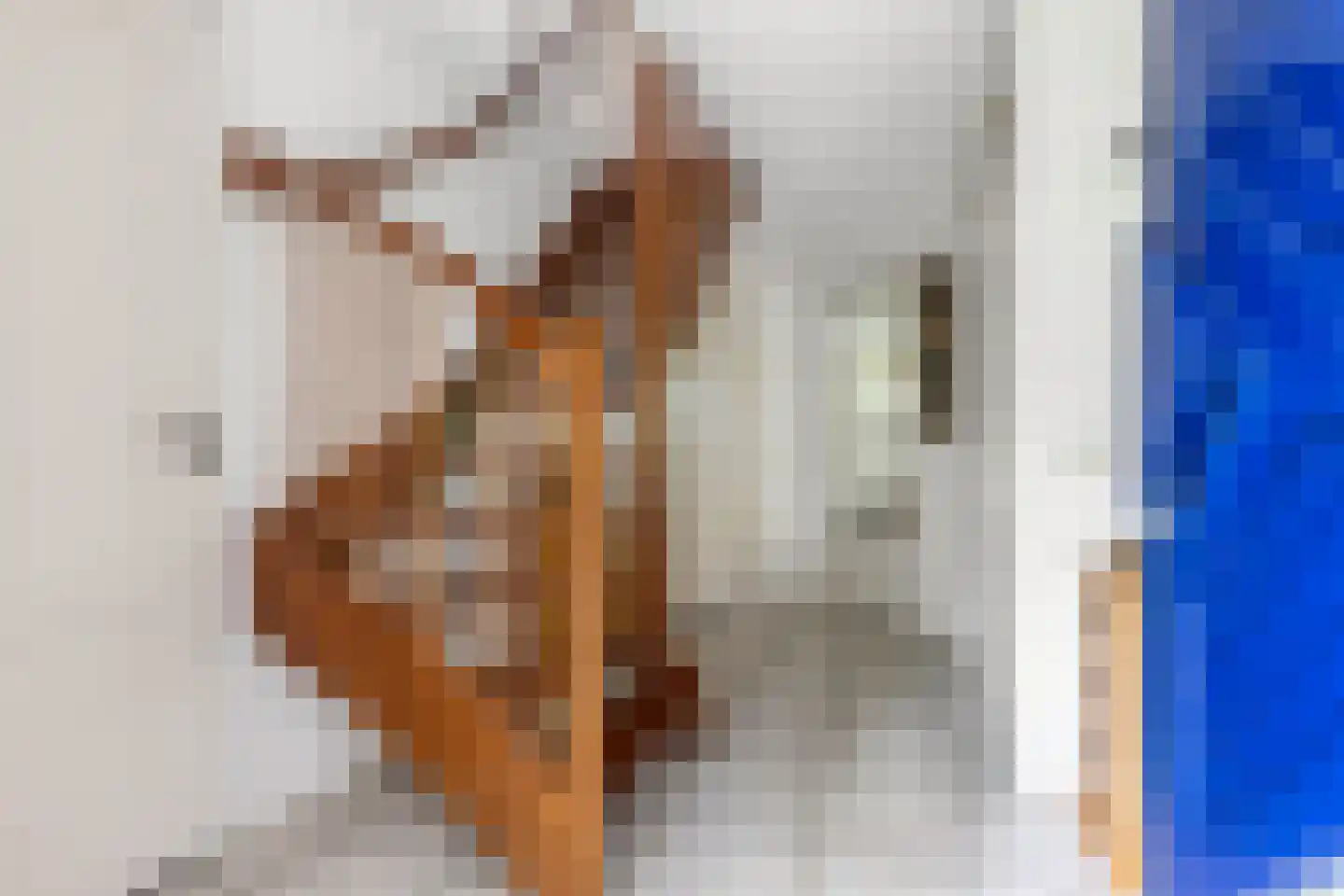 Opsterland 1 Emmeloord thumbnail 8