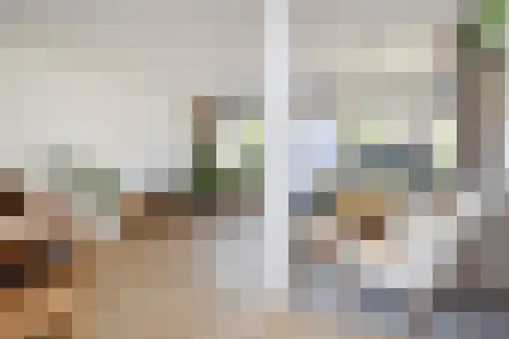 Opsterland 2 Zoetermeer thumbnail 13