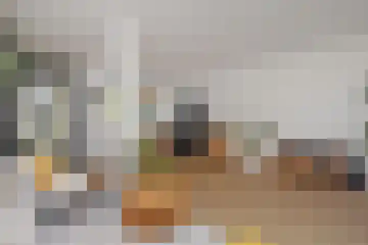 Opsterland 2 Zoetermeer thumbnail 15