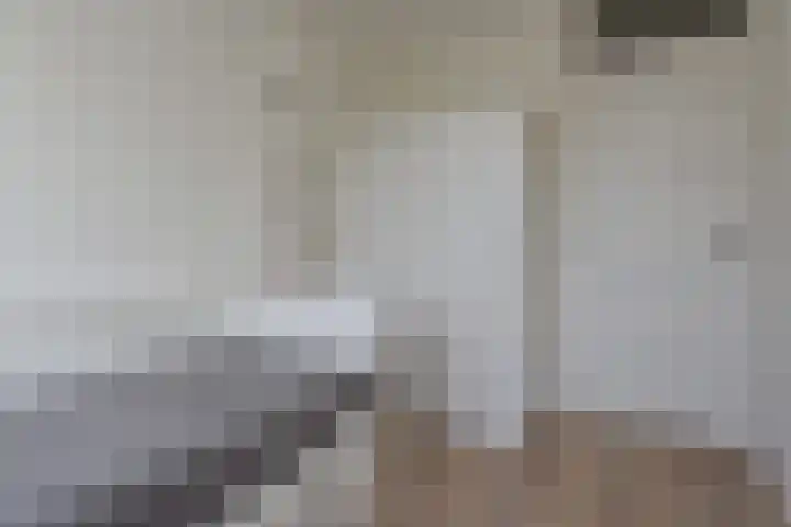 Opsterland 2 Zoetermeer thumbnail 23