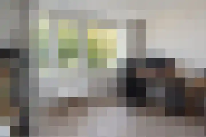Opsterland 2 Zoetermeer thumbnail 24
