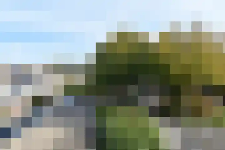 Opsterland 2 Zoetermeer thumbnail 32