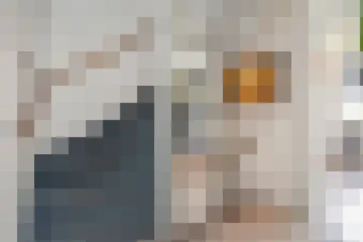 Opsterland 5 Zoetermeer thumbnail 17
