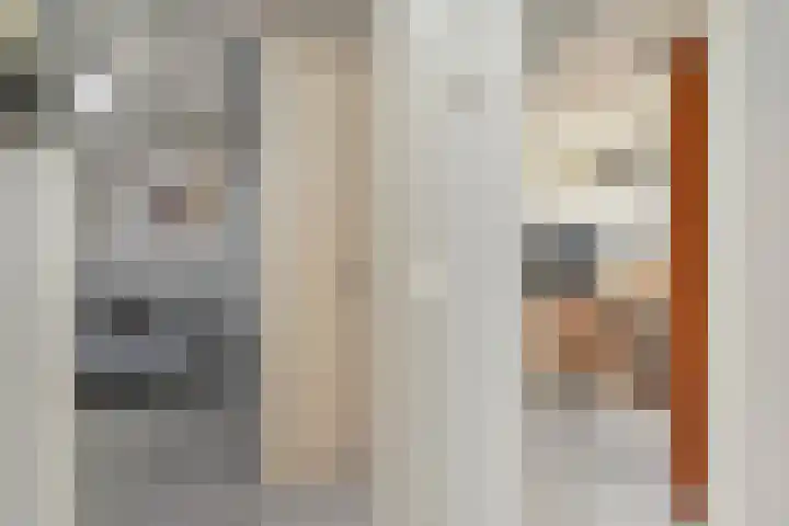 Opsterland 5 Zoetermeer thumbnail 27