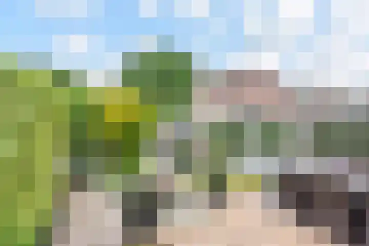 Opsterland 5 Zoetermeer thumbnail 33