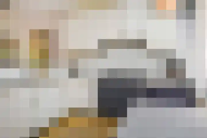 Opsterland 5 Zoetermeer thumbnail 6