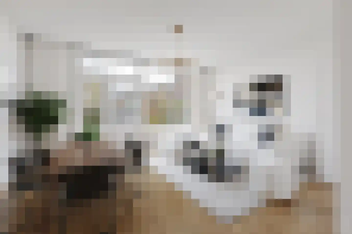 Optenoord 12 Rotterdam thumbnail 11