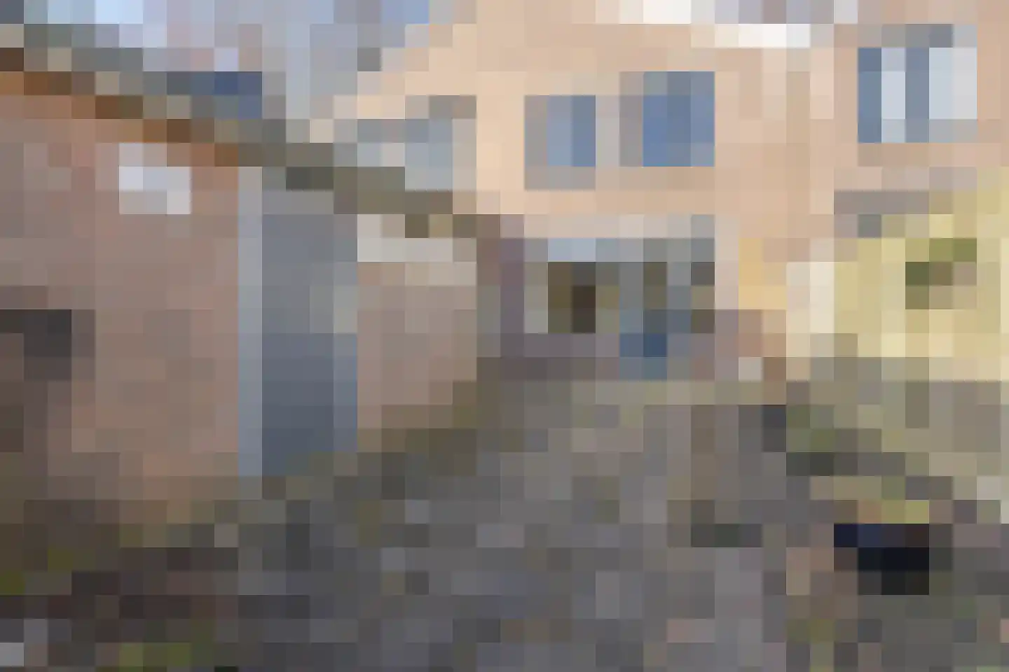 Optenoord 12 Rotterdam thumbnail 14