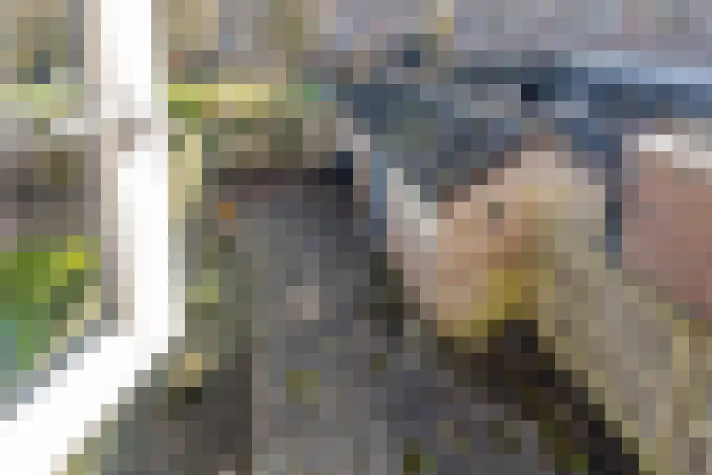Optenoord 12 Rotterdam thumbnail 24
