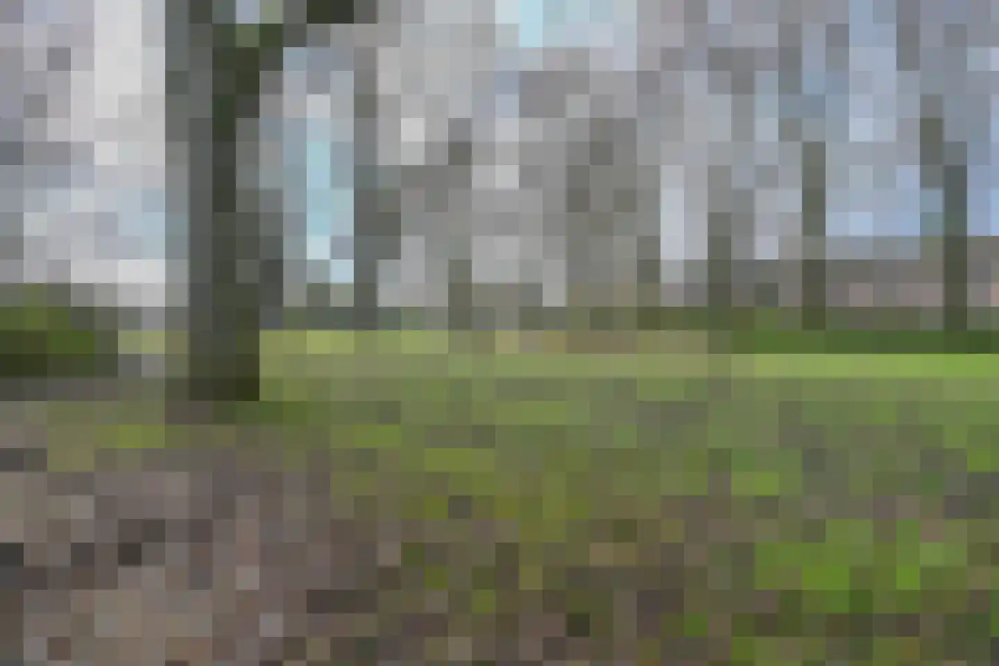 Optenoord 12 Rotterdam thumbnail 32