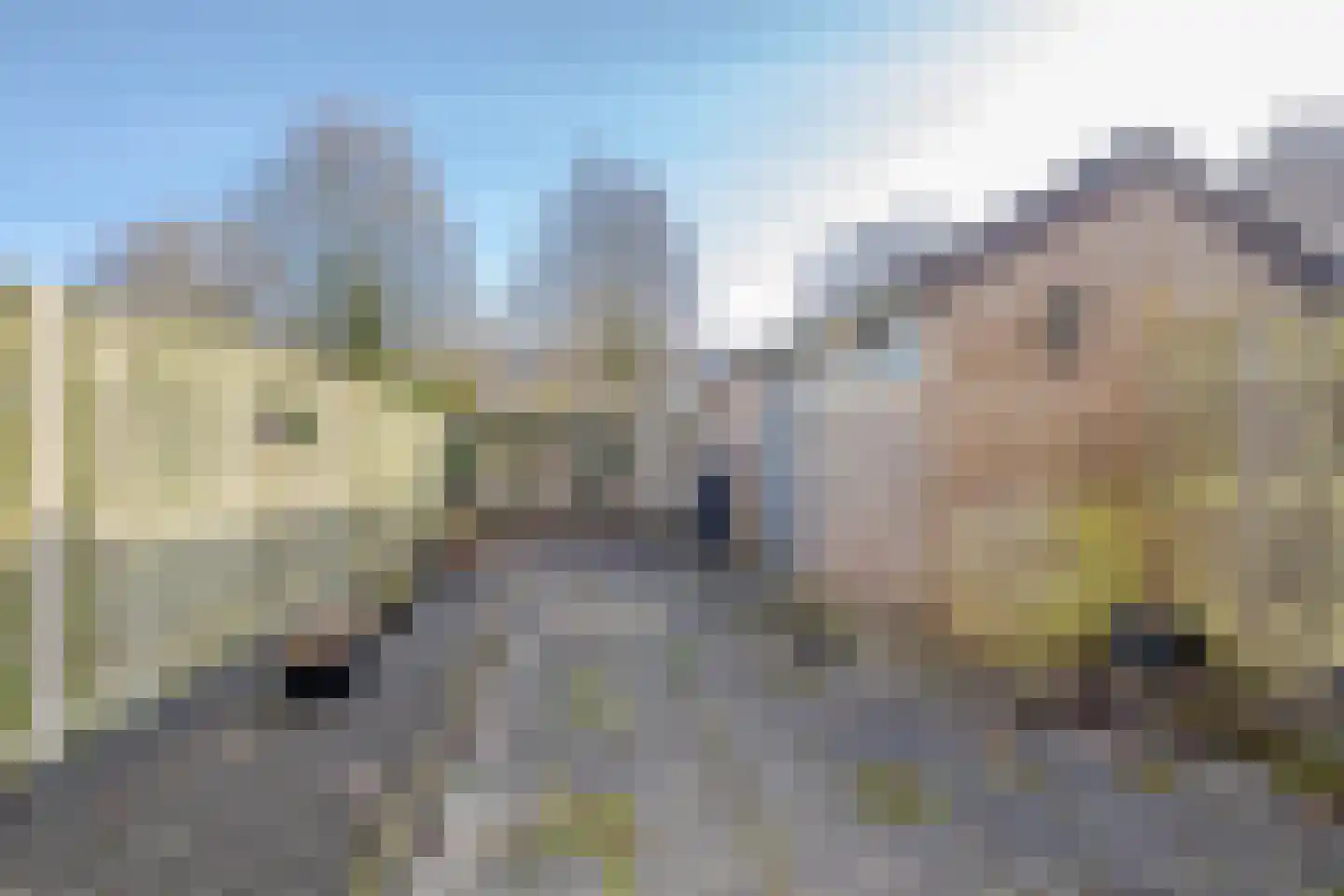 Optenoord 12 Rotterdam thumbnail 5