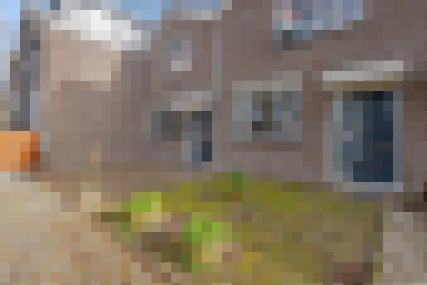 Optenoord 12 Rotterdam thumbnail 6