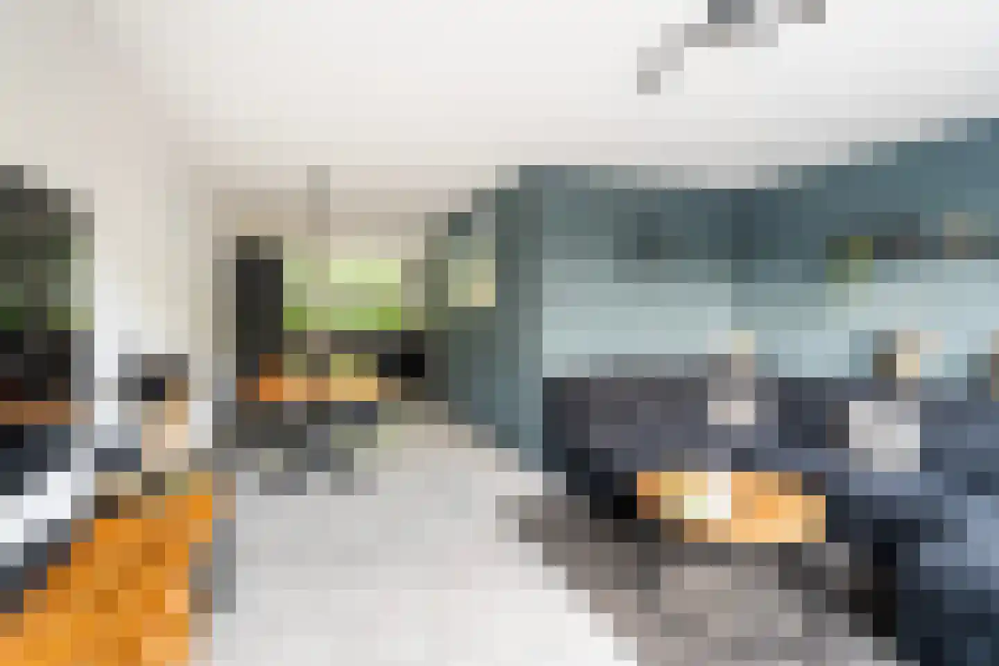 Optenoord 20 Rotterdam thumbnail 11