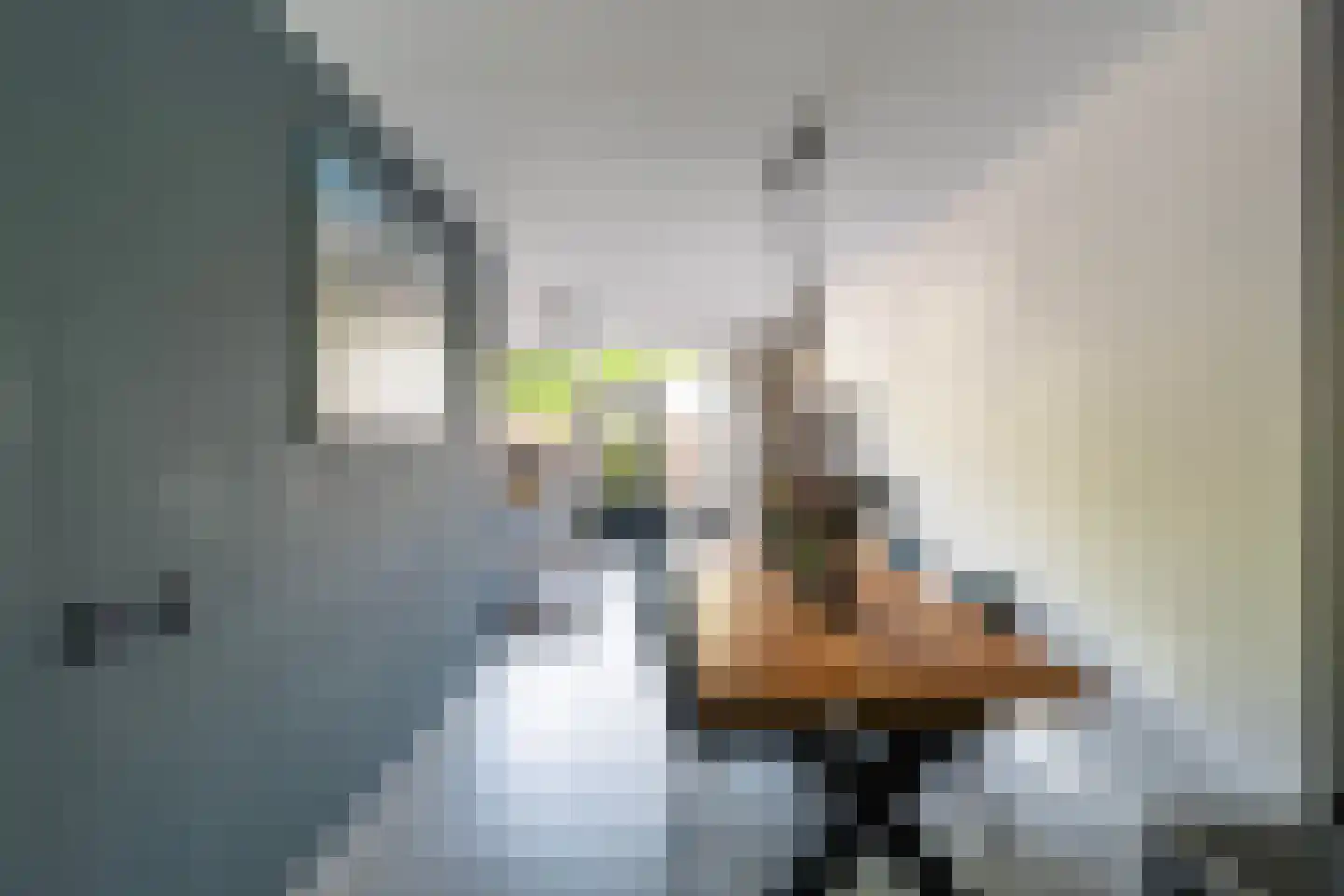 Optenoord 20 Rotterdam thumbnail 17