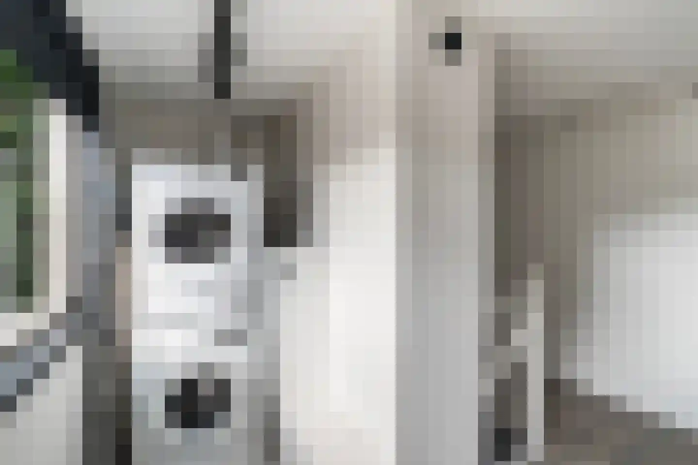 Optenoord 20 Rotterdam thumbnail 31