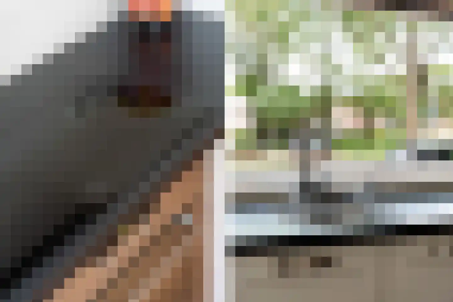 Optenoord 8 Rotterdam thumbnail 18