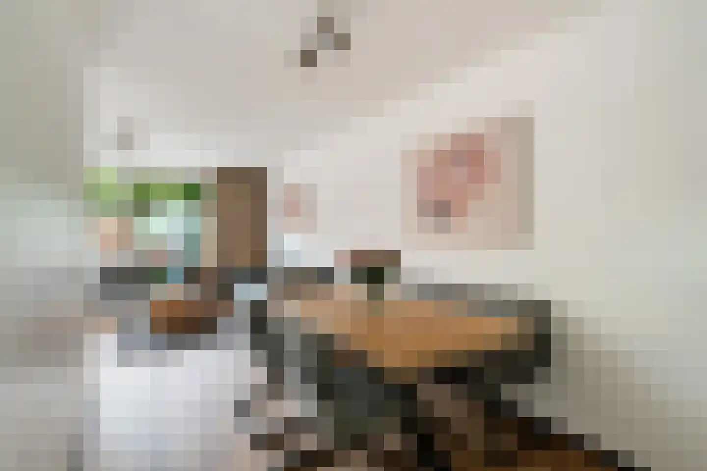 Optenoord 8 Rotterdam thumbnail 20
