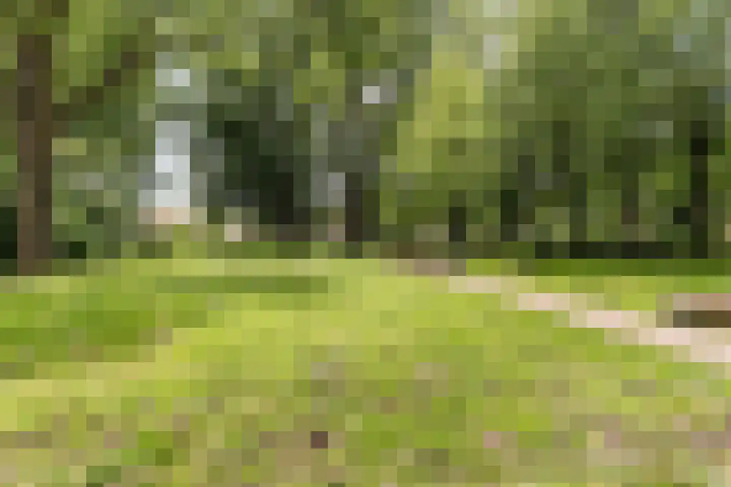 Optenoord 8 Rotterdam thumbnail 41